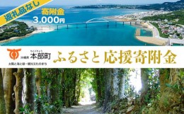 【ふるさと納税】【返礼品なし】沖縄県本部町ふるさと応援寄附金 3000円 寄附のみの応援 寄附のみ 返礼品なし 返礼品無し　御礼品なし　