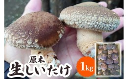 【ふるさと納税】[先行予約] 原木 生しいたけ 1kg【2024年12月より順次発送】｜シイタケ 椎茸 国産 産地直送 おんだファーム 甘楽町 [018