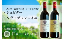 【ふるさと納税】ルヴェデュソレイユとメルロー＆カベルネ・ソーヴィニョンジュピターセット 各750ml [ ヴィニョブル安曇野(ドメーヌ・ヒ