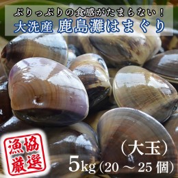 【ふるさと納税】大洗産鹿島灘天然はまぐり 5kg 冷蔵 お吸い物 ハマグリ 蛤 貝 砂抜き処理 魚介類 大洗産 天然 はまぐり