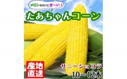 【ふるさと納税】とうもろこし 生でも美味しい スイートコーン 白水農園のたあちゃんコーン 10〜12本 約3kg サニーショコラ 野菜 トウモ