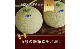 【ふるさと納税】山形県庄内産 マスクメロン 2玉 約2.6kg 緑肉 【2024年8月から発送】 FSY-1065