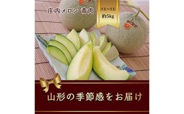 【ふるさと納税】山形県庄内産 メロン 3玉入〜5玉入 約5kg 緑肉 《品種の指定はできません》【2024年6月から発送】 FSY-1067