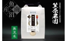 【ふるさと納税】【令和6年産新米予約／令和6年9月上旬より順次発送】南魚沼産 笠原農園 棚田米コシヒカリ 無洗米 5kg