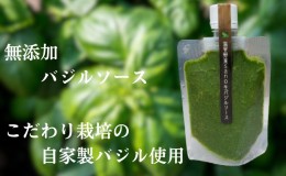 【ふるさと納税】温室野菜 sano 　生バジルソース 料理 イタリア料理 新鮮 香り 温室栽培 無添加 おすすめ 人気 厳選 袋井市