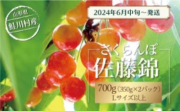 【ふるさと納税】［2024年6月中旬〜発送］　鮭川村のさくらんぼ＜佐藤錦＞　700g