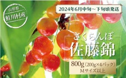 【ふるさと納税】［2024年6月中旬〜発送］　鮭川村のさくらんぼ＜佐藤錦＞　200g×4パック