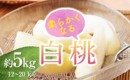 【ふるさと納税】≪2024年産 先行受付≫ 山形県産 白桃 秀品 約5kg（12玉〜20玉） 品種おまかせ 軟らかくなる桃 あかつき 川中島白桃 伊