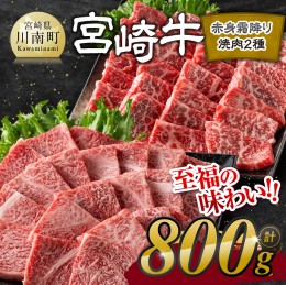 【ふるさと納税】宮崎牛赤身霜降り焼肉2種 800g【肉 牛肉 国産 宮崎県産 宮崎牛 黒毛和牛 和牛 焼肉 BBQ 4等級  A4ランク 肩ロース ウデ 