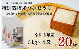 【ふるさと納税】特別栽培米 コシヒカリ 白米 20kg （5kg×4袋）食味値80以上 栽培期間中農薬不使用 有機肥料 かわじま町の天領米 令和5