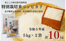 【ふるさと納税】特別栽培米 コシヒカリ 白米 10kg （5kg×2袋）食味値80以上 栽培期間中農薬不使用 有機肥料 かわじま町の天領米 令和5