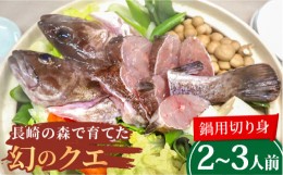 【ふるさと納税】長崎の森で育てた『幻のクエ』 鍋用 約500g 2~3人前 長崎市/水産未来研究所 [LHC011]