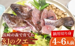 【ふるさと納税】長崎の森で育てた『幻のクエ』 鍋用 約500g 2~3人前×2セット 長崎市/水産未来研究所 [LHC012]