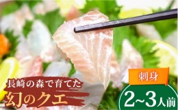 【ふるさと納税】長崎の森で育てた『幻のクエ』 刺身用 約200g 2〜3人前 長崎市/水産未来研究所 [LHC014]