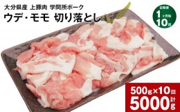 【ふるさと納税】【1ヶ月毎10回定期便】大分県産上豚肉 「学問所ポーク」 ウデ・モモ 切り落とし 500g 計5kg