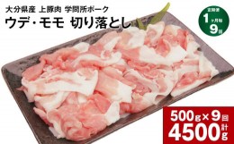 【ふるさと納税】【1ヶ月毎9回定期便】大分県産上豚肉 「学問所ポーク」 ウデ・モモ 切り落とし 500g 計4.5kg