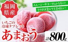 【ふるさと納税】いちごの冷凍ピューレ(計800g) 苺 フルーツ 果物 数量限定 あまおう95%使用＜離島配送不可＞【ksg1321】【よっちゃんフ