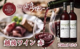 【ふるさと納税】越後ワイン 赤 750ml 2本セット アグリコア  越後ワイナリー  新潟県産 ぶどう100%使用  辛口 ミディアムボディ アルコ