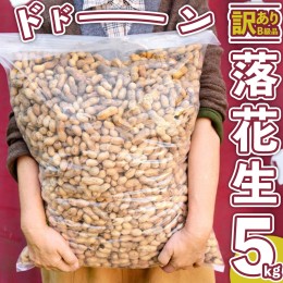 【ふるさと納税】【 訳あり 】 メガ B級 落花生 5kg 業務用 野菜 豆 特産品 農園 自家栽培 ピーナッツ ピーナツ おつまみ ビールのお供 