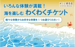 【ふるさと納税】福井旅行に最適！海を楽しむワクワク体験チケット 【感謝券】【坂井市 三国 体験 東尋坊 海釣り 見学 グルメ】 [B-5958]