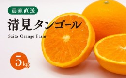 【ふるさと納税】【先行予約】Saito Orange Farmの清見タンゴール5kg ｜ 柑橘 みかん ミカン フルーツ  果物 愛媛　※離島への配送不可　