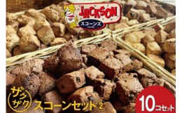 【ふるさと納税】ザクザク スコーン オススメ10コセット(2) (あんチョコ パルメザンチーズ クルミチョコ マカダミアナッツとホワイトチョ