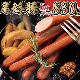 【ふるさと納税】【PREMIUM PORK】尾鈴豚ハム・ソーセージ 詰め合わせ ５種 Aセット【 数量限定 肉 豚肉 ぶた 豚 国産 九州産 宮崎県産 