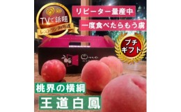 【ふるさと納税】＜桃界の横綱キング白鳳＞人気品種指定ギフト3年連続TV出演話題ブランド桃2024年7月上旬発送【1465186】