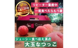 【ふるさと納税】＜大玉ジューシーなつっこ＞人気品種指定ギフト3年連続TV出演話題ブランド2024年7月中旬発送【1465280】