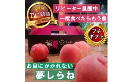 【ふるさと納税】＜滅多にお目にかかれない夢しらね＞人気品種指定ギフト3年連続TV出演話題ブランド2024年7月下旬〜【1465301】