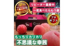 【ふるさと納税】＜もっちりカリカリ不思議な幸茜＞人気品種指定ギフト3年連続TV出演話題ブランド2024年8月中旬発送【1465329】