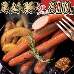 【ふるさと納税】【PREMIUM PORK】尾鈴豚ハム・ソーセージ 詰め合わせ ５種 Bセット【 数量限定 肉 豚肉 ぶた 豚 国産 九州産 宮崎県産 