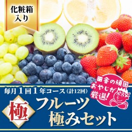 【ふるさと納税】田舎の頑固おやじが厳選！フルーツ極み定期便セット【毎月1回1年コース(計12回)】［化粧箱入り］ [BI65-NT]