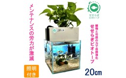 【ふるさと納税】水槽セット　せせらぎビオトープ　20cm型照明　植物　魚　(グレー）