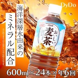 【ふるさと納税】おいしい麦茶600ml×24本【年6回定期便】