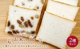 【ふるさと納税】グルテンフリー お米のパン 2種セット 低糖質 糖質オフ ヘルシー 米粉 パン F21T-239