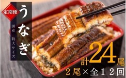 【ふるさと納税】【全12回定期便】大型サイズ ふっくら柔らか 国産うなぎ蒲焼き 2尾×12回 計24尾 約4080g /  うなぎ ウナギ 鰻 国産 蒲