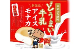 【ふるさと納税】ご好評に応えて再登場！中央製乳の「どうまい牛乳アイスモナカ」（120ml×20個）