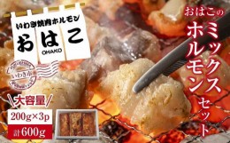 【ふるさと納税】【新鮮ホルモン焼肉】焼肉専門店よりお届け　本格ホルモンをご自宅で！　ミックスホルモンセット600g！