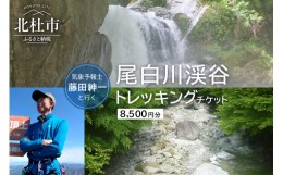 【ふるさと納税】気象予報士・藤田紳一と行く尾白川渓谷トレッキングチケット