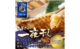 【ふるさと納税】金華さば一夜干し 150g×10枚(b002-01)  ふるさと納税 金華さば 一夜干し  さば サバ 千葉県 大網白里市 AJ004