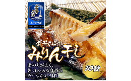 【ふるさと納税】金華さばみりん干し 150g×10枚(b002-02) ふるさと納税 金華さばみりん干し さば サバ 干物 開き 千葉県 大網白里市 AJ0