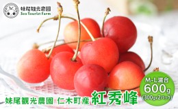 【ふるさと納税】【先行受付/2024年7月出荷開始】仁木町産 さくらんぼ「紅秀峰」600g ［妹尾観光農園］ 北海道 果物 フルーツ チェリー 