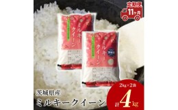 【ふるさと納税】【定期便 11ヶ月】茨城県産 ミルキークイーン 精米4kg（2kg×2袋）※離島への配送不可