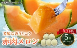 【ふるさと納税】【2024年夏発送！絶品!!甘みたっぷり】ようてい赤肉メロン　約1.6kg×5玉