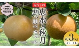 【ふるさと納税】【 2024年 先行予約 】 厳選 2種！恵水 と 秋月 の 食べ比べセット 約3kg 5玉〜7玉  【 茨城県共通返礼品 ／ 常陸太田市