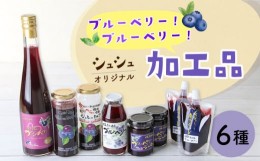 【ふるさと納税】シュシュオリジナルブルーベリー加工品6種セット（ジュース・ジャム・ジュレ） / フルーツ ふるーつ くだもの 果実 ベリ