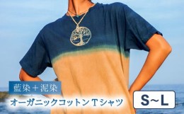 【ふるさと納税】Tシャツ 藍染 泥染 S-Lサイズ オーガニックコットン  藍 藍染め 泥染め 宍喰祇園染 天然染料