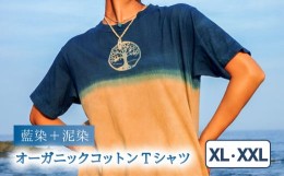 【ふるさと納税】Tシャツ 藍染 泥染 XL/XXLサイズ オーガニックコットン 藍 藍染め 泥染め 宍喰祇園染 天然染料