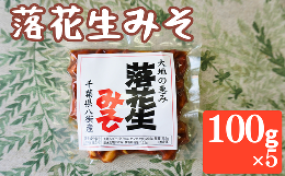 【ふるさと納税】落花生みそ （真空パック） 100g × 5パック ピーナツみそ ピーナッツみそ ピーナッツ 落花生 落花生千葉 八街 千葉 実